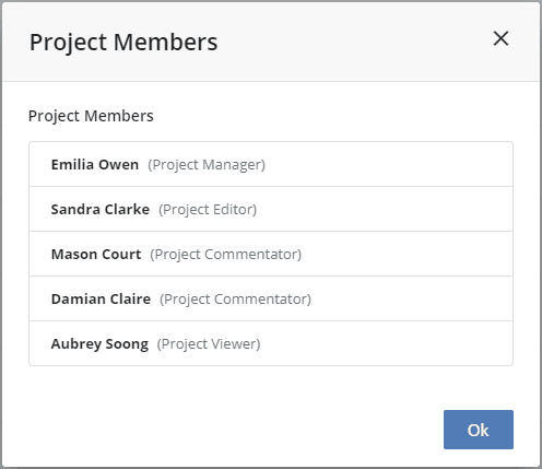 Project members example